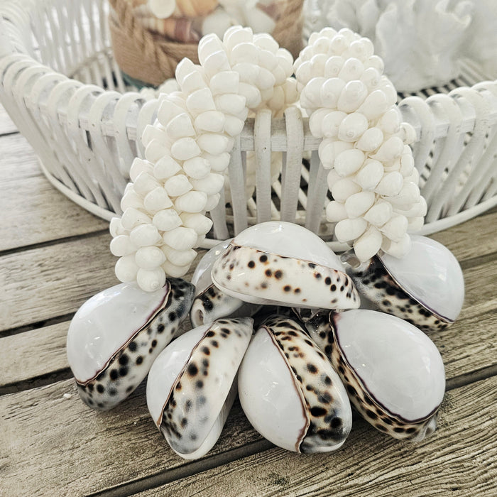 Barbados Shell Wall Necklace