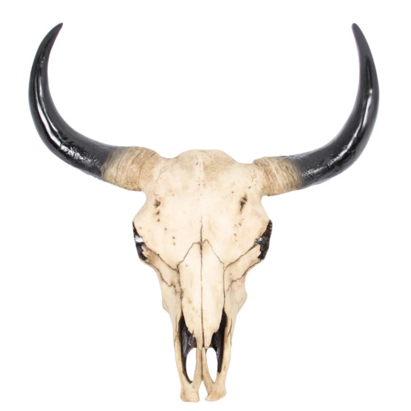 Faux Cow Bull Bilson Skull