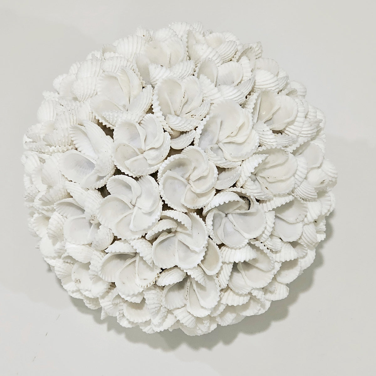 Frangipani Shell Ball | Large | Pre Order