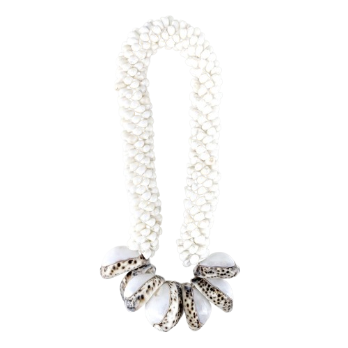 Barbados Shell Wall Necklace