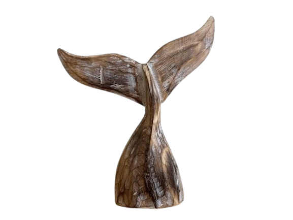 Whale Tail | Natural