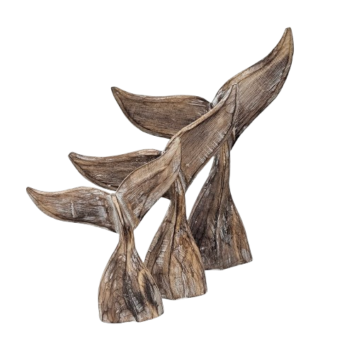 Whale Tail | Natural