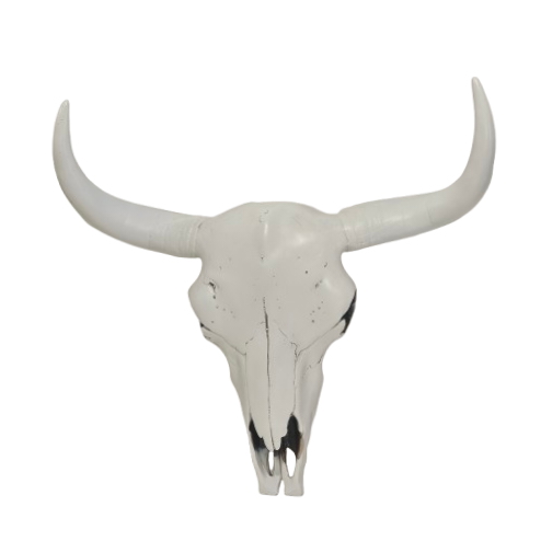 Boho Cow Skull | 30 cm