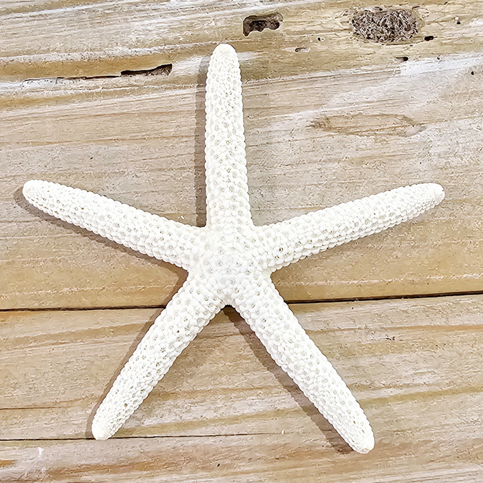 Star Fish Finger 8 cm