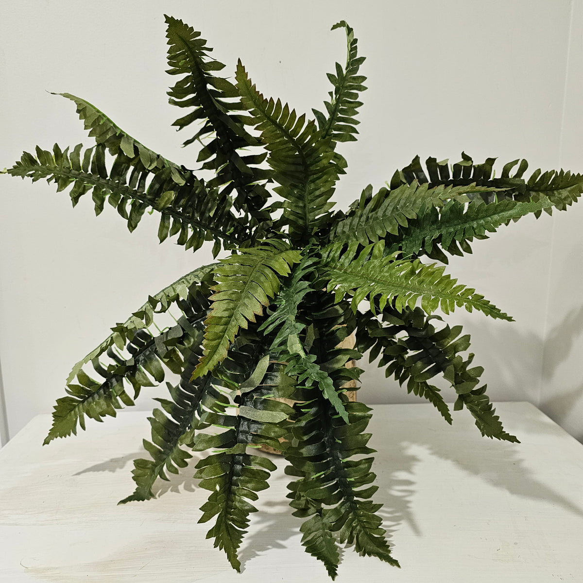 Boston Fern Artificial