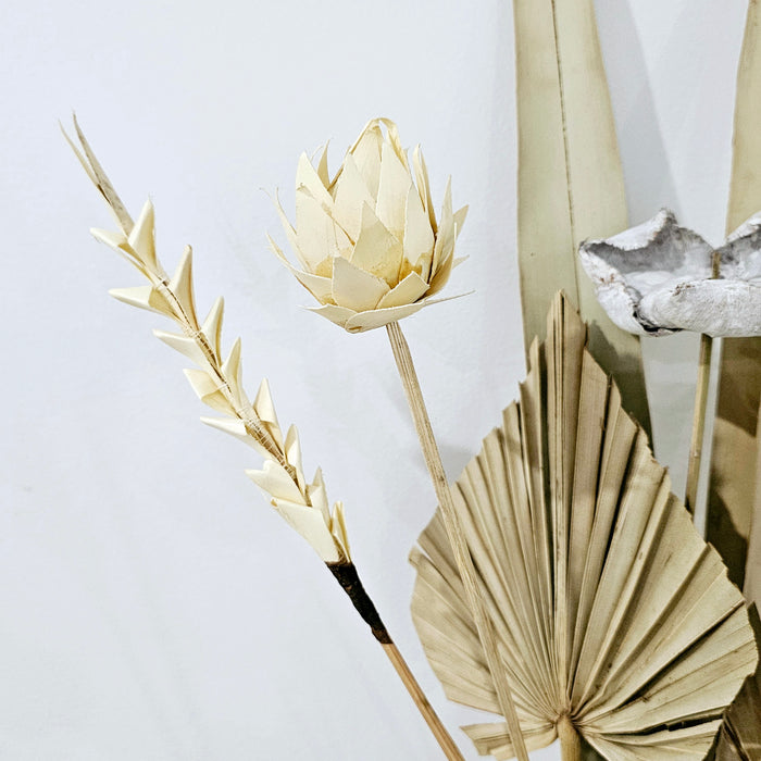 Palm Leaf Stem | Bleached