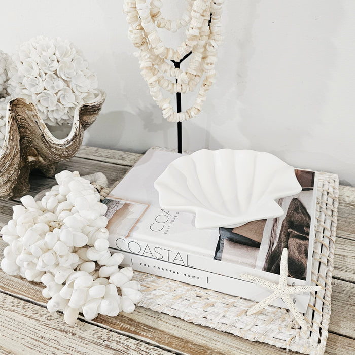Clam Shell Trinket Plate | White