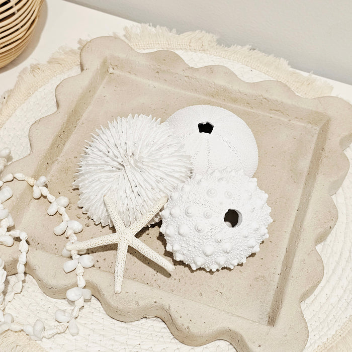 Sea Urchin Sculpture | White