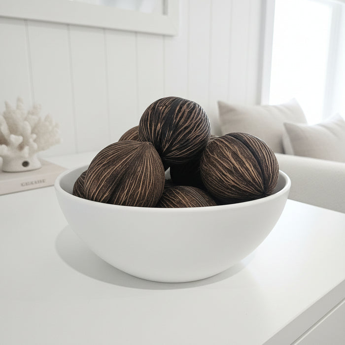 Mintola Pod Oval Shaped Botanical Preserved Dried Natural Ball