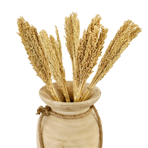 Dried Bleached Sorghum Grass Bunch