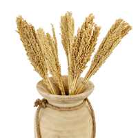 Dried Bleached Sorghum Grass Bunch