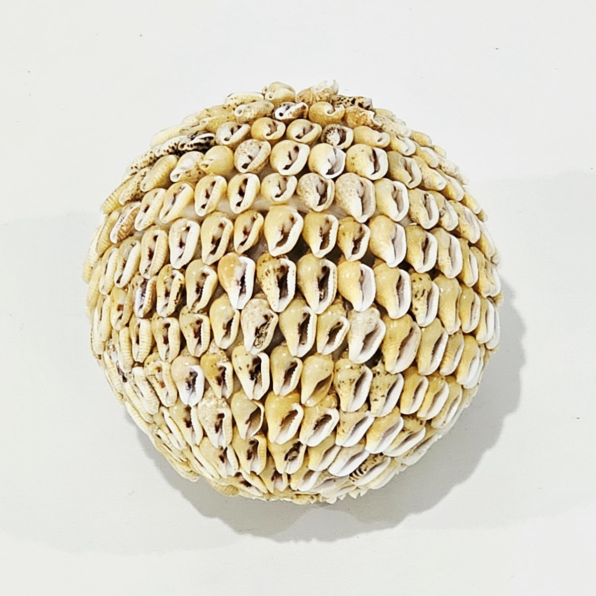 Sienna Shell Ball