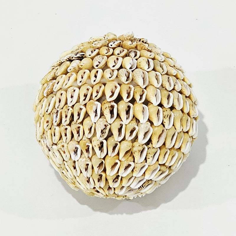 Sienna Shell Ball