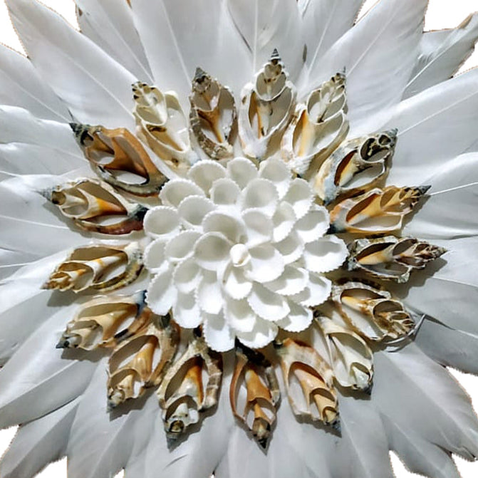 Fleur Feather and Shell Wall Hanging