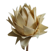 Artichoke on Stem | Bleached