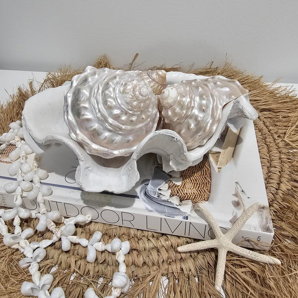 Undossa Shell Astraea Undosa Pearlised Sea Shell | Creamy Vanilla | Luxe Coastal Home