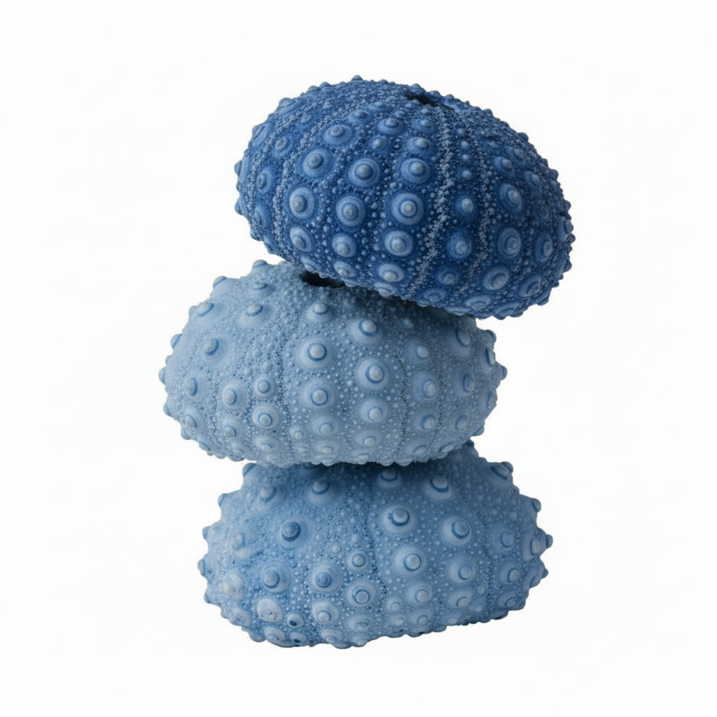 Blue resin sea urchin decorative sculpture ornament for coastal decor