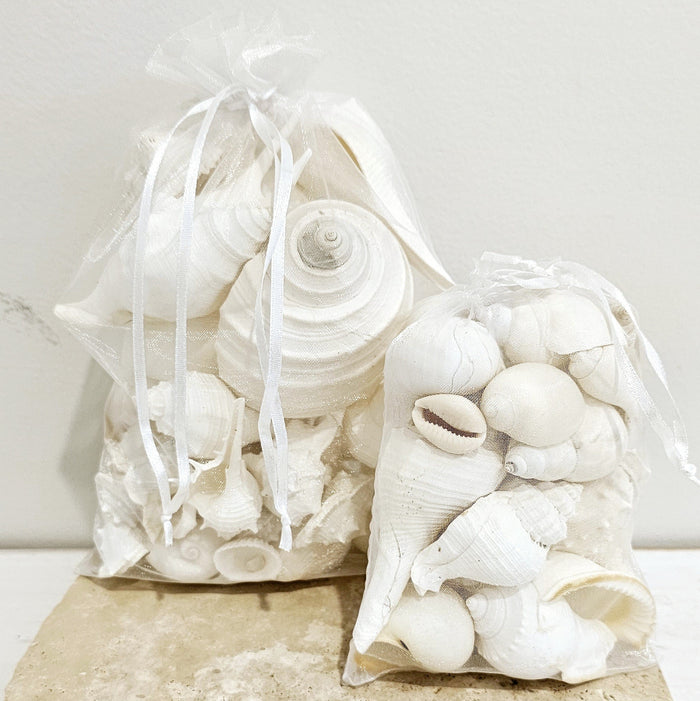 Bag of Premium White Shells
