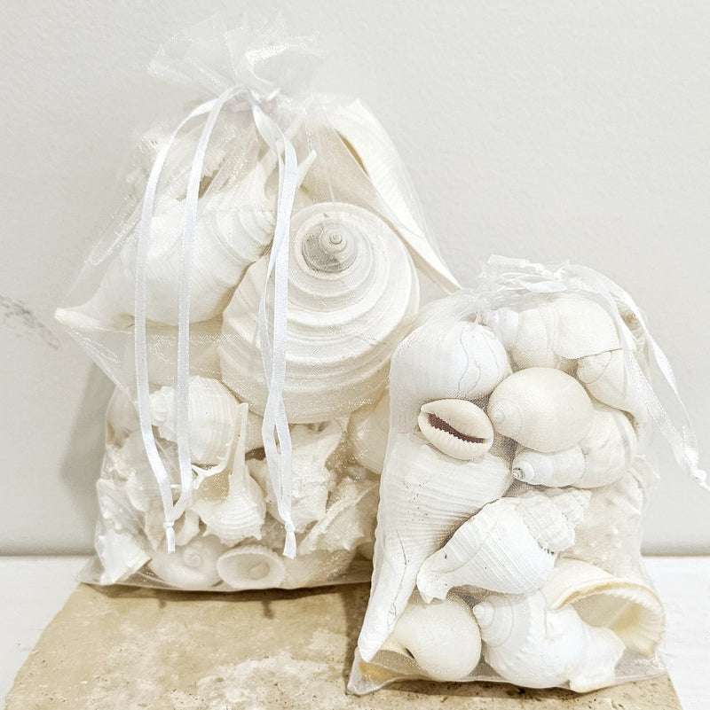 Bag of Premium White Shells 