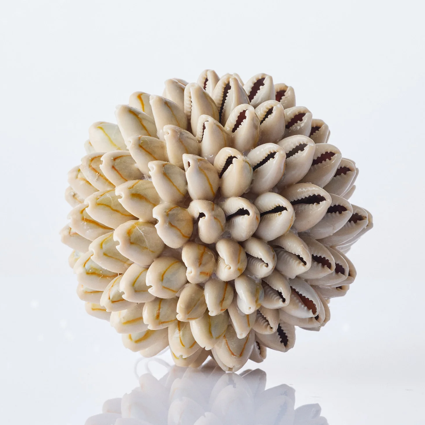 Bahamas Shell Ball | Natural