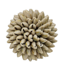 cowrie shell ball