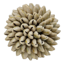 Cowrie Shell Ball