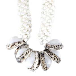 Barbados Shell Wall Necklace