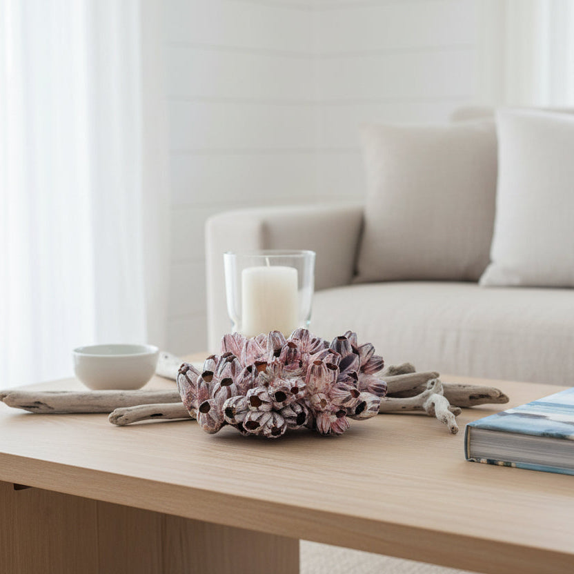 Authentic barnacle cluster for coffee table decoration in beach house or hamptons style home