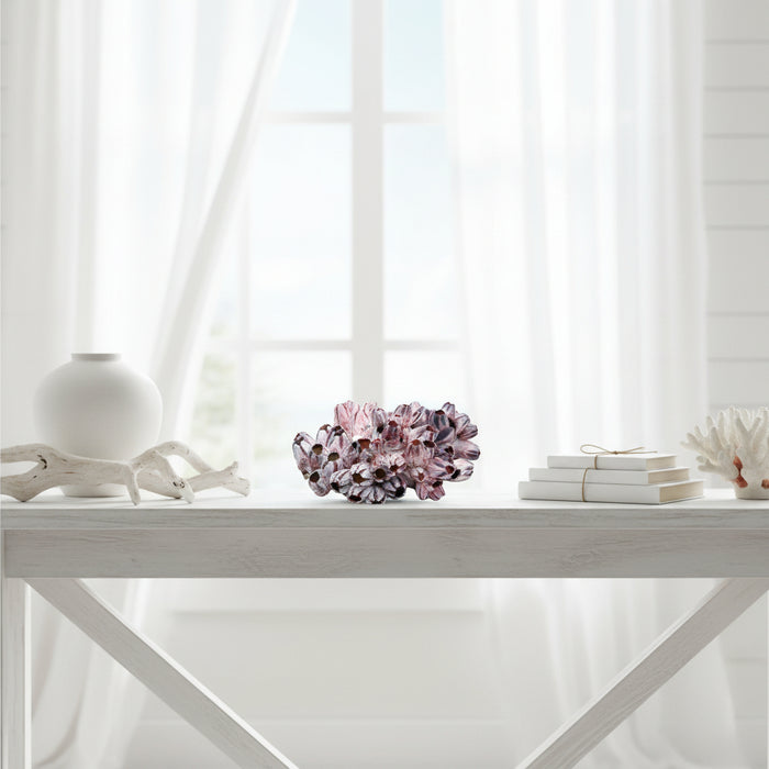 Authentic barnacle cluster decorative piece for coastal and hamptons stylehomes
