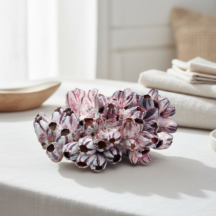 Authentic Barnacle Cluster