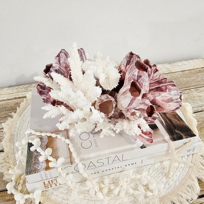 Barnacle and Coral Cluster