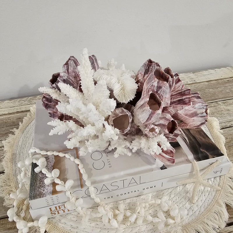 Barnacle and Coral Cluster
