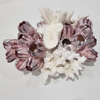 Barnacle and Coral Cluster