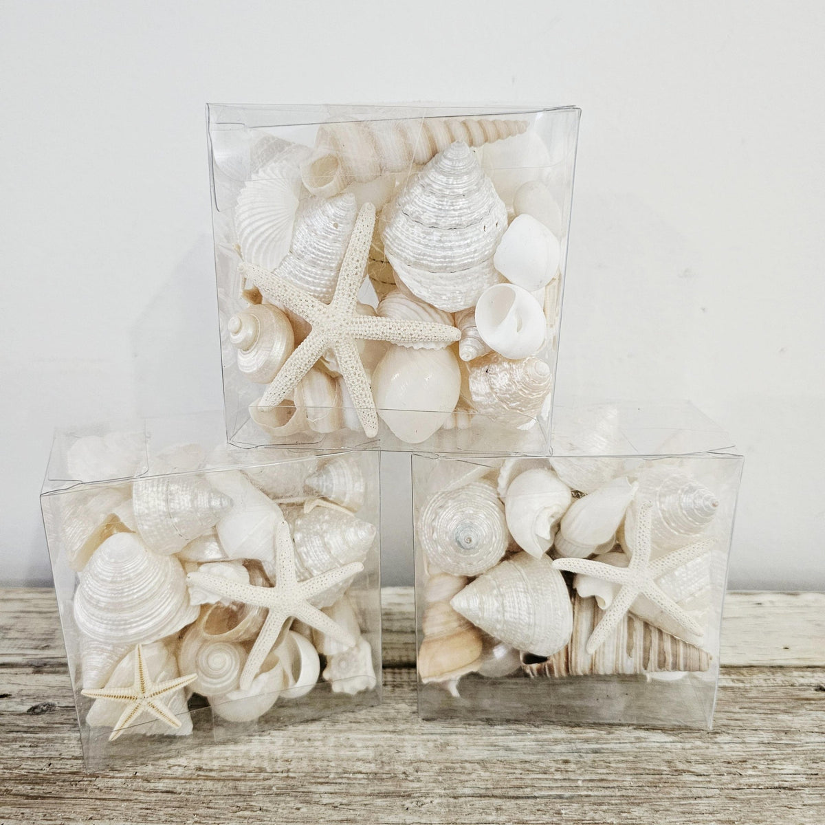 Box of Mixed Premium White Sea Shells