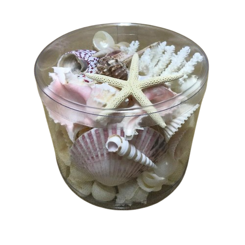 Premium Coral and Shell Pack | Pink