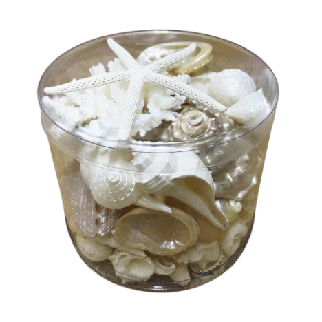 Premium Coral and Shell Pack