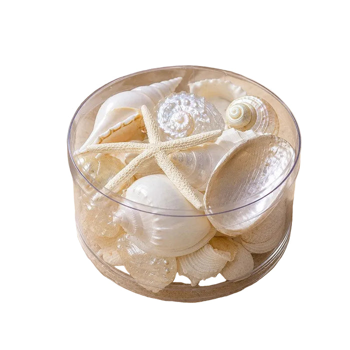Elevate your home with our Premium Shell Pack in pearl tones. Hand-packed natural shells in creamy white and luminous hues for elegant coastal décor.