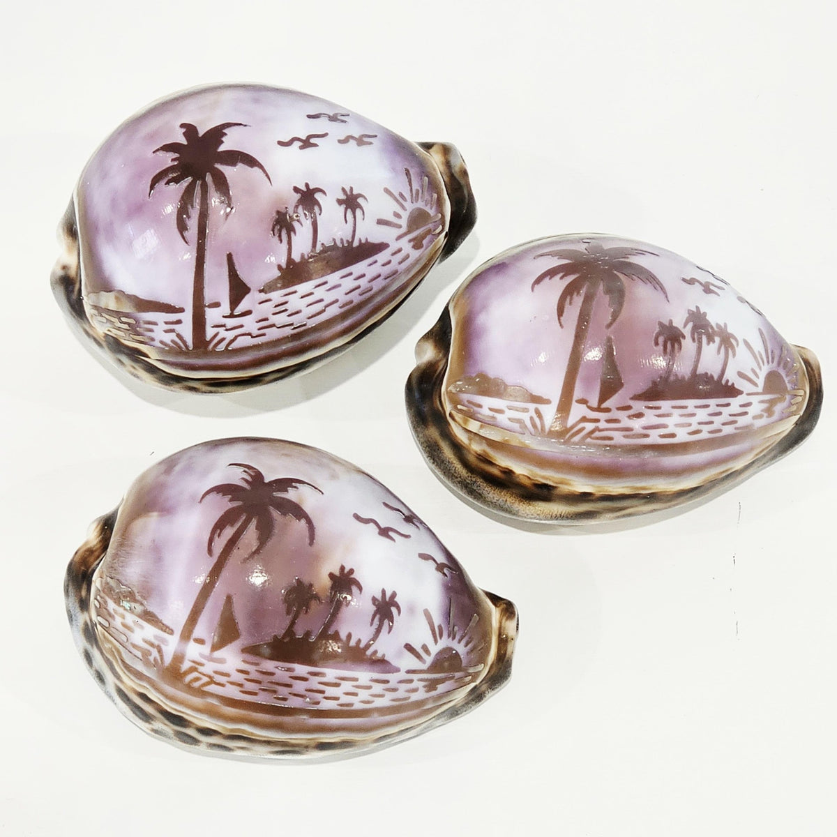 Sunset Hand Carved Cowrie Shell