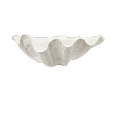 Clam Shell | White