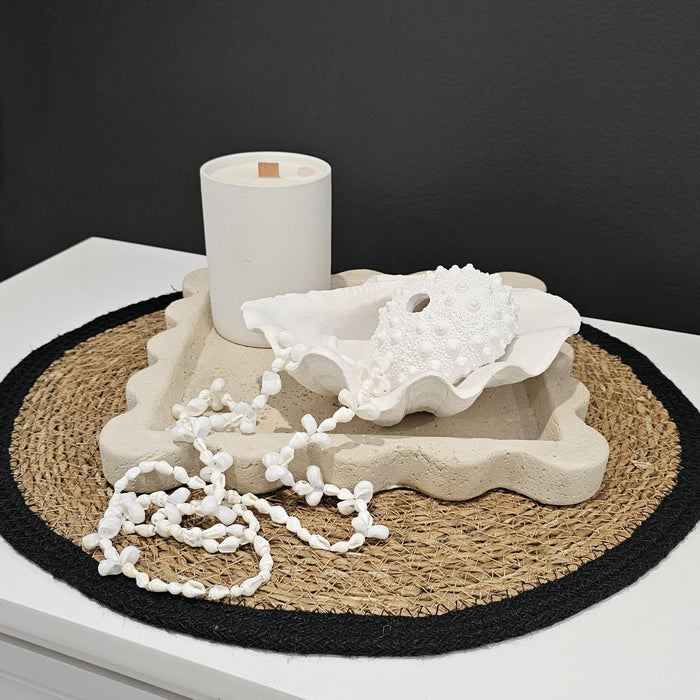 Clam Shell | White