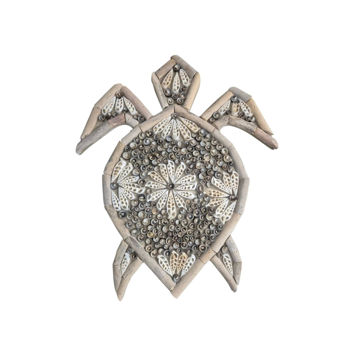 Saltwater Driftwood and Shell Turtle Wall Hanging