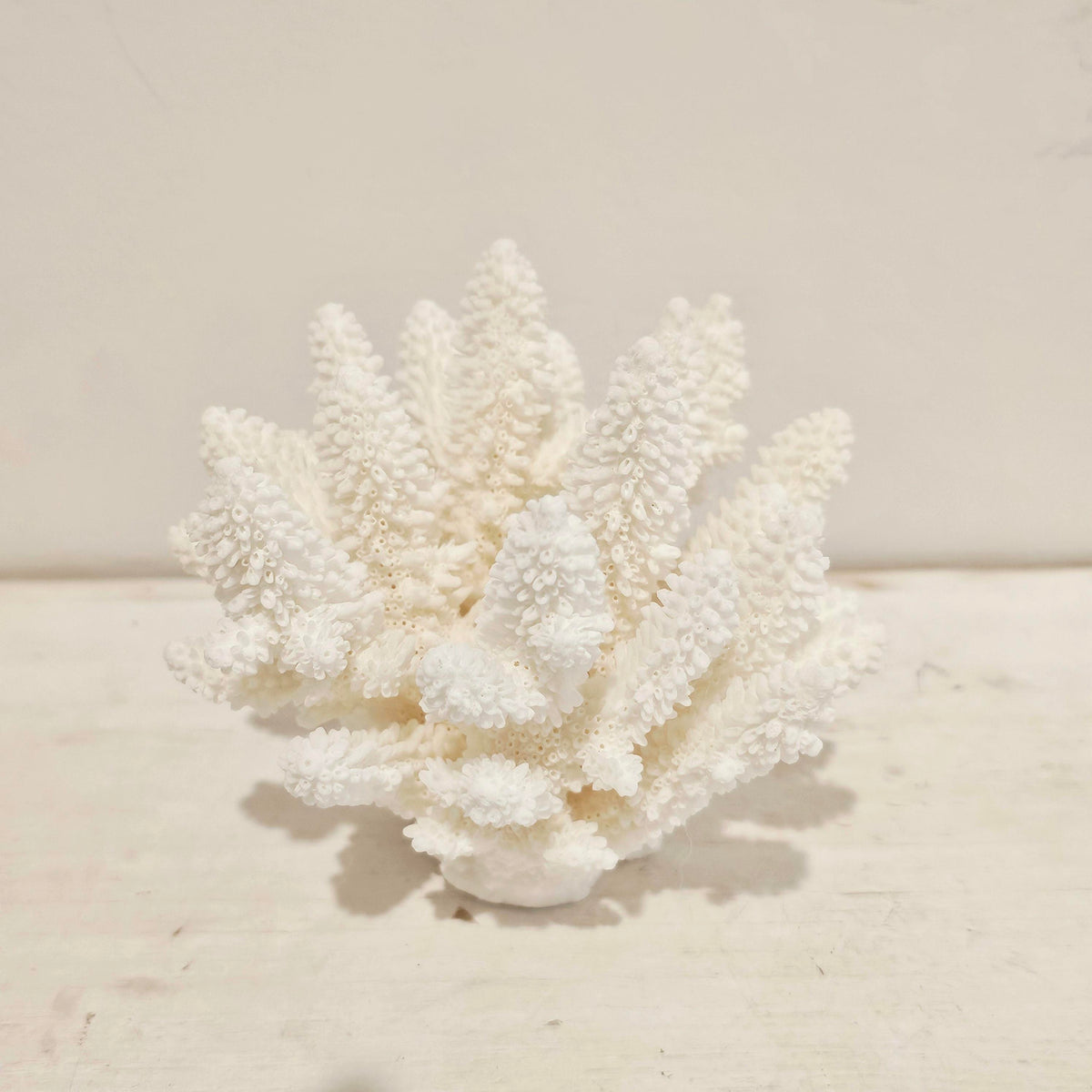 Authentic Premium Coral Finger