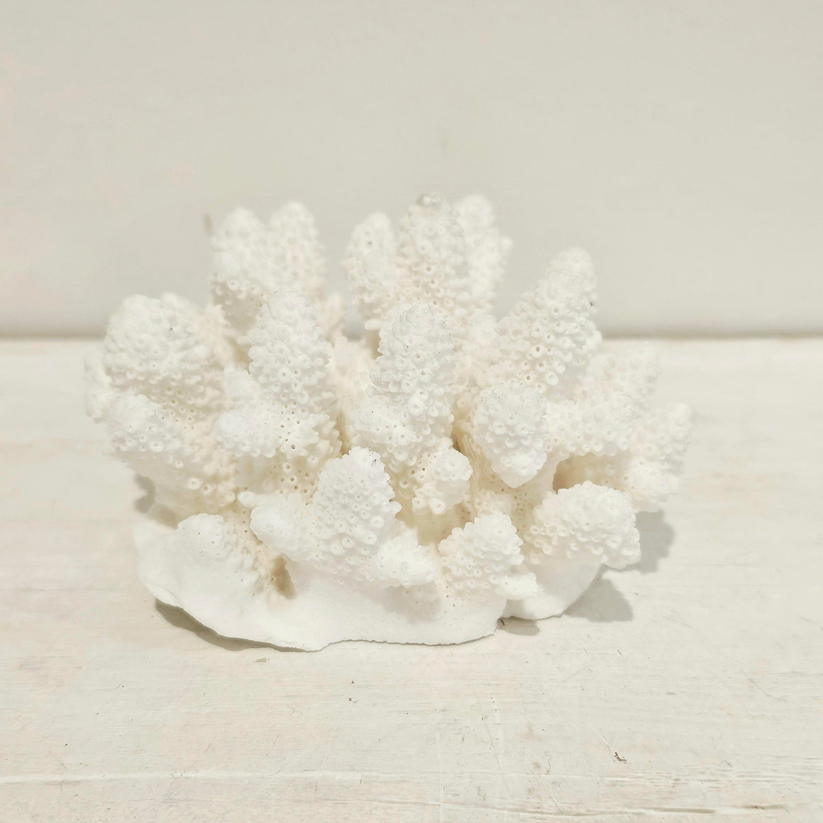 Authentic Premium Coral Finger