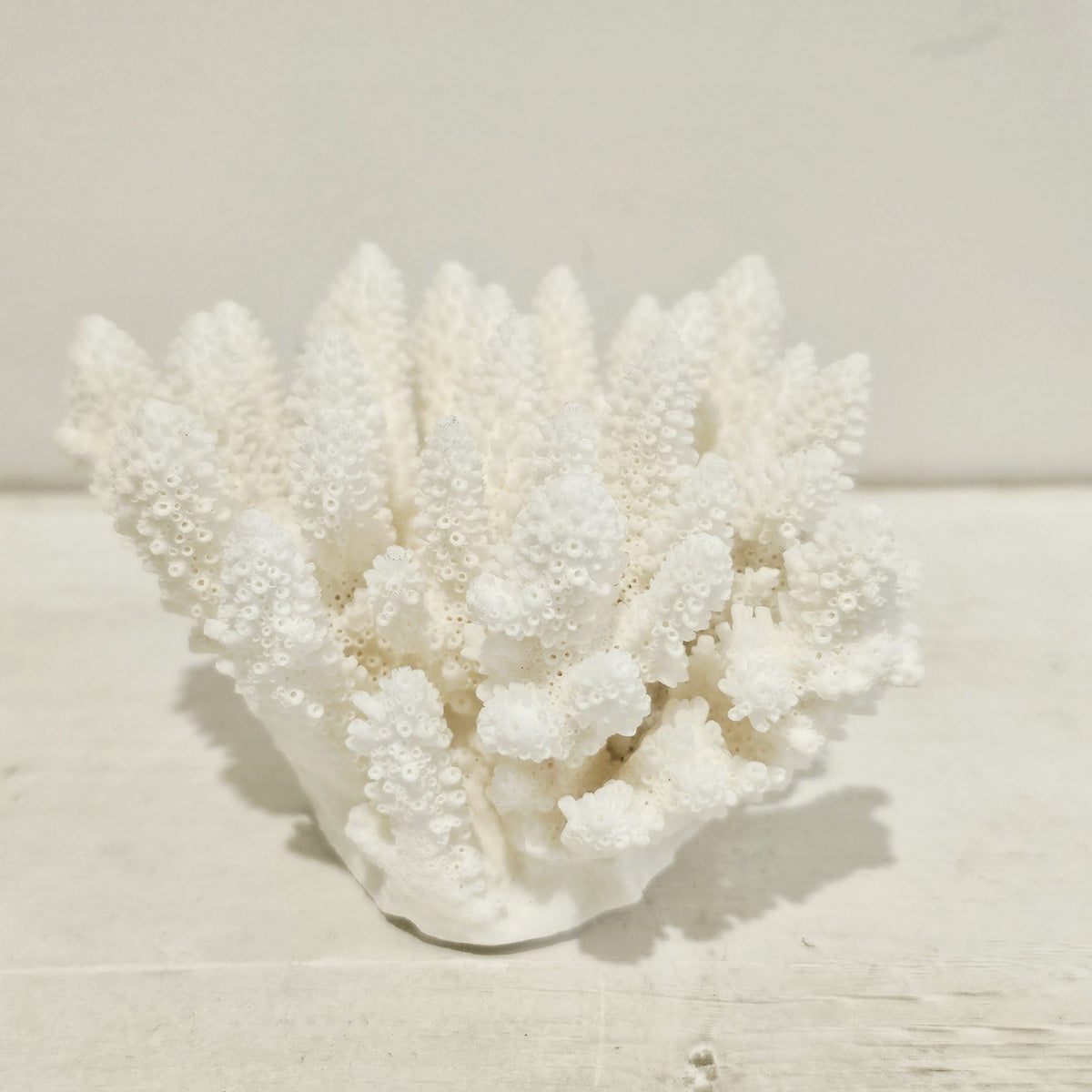 Authentic Premium Coral Finger