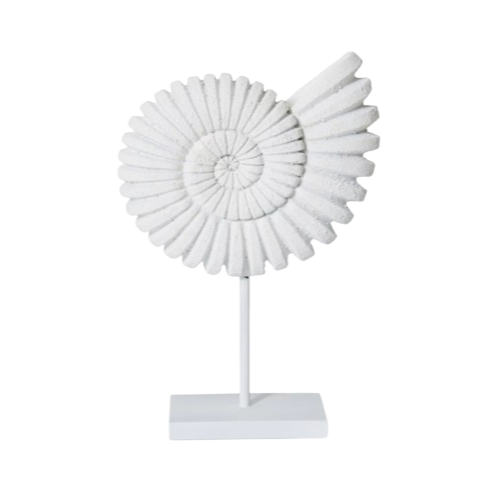 Sandy White Sea Shell on Stand
