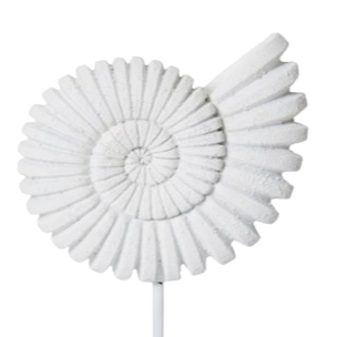 Sandy White Sea Shell on Sculpture on Stand