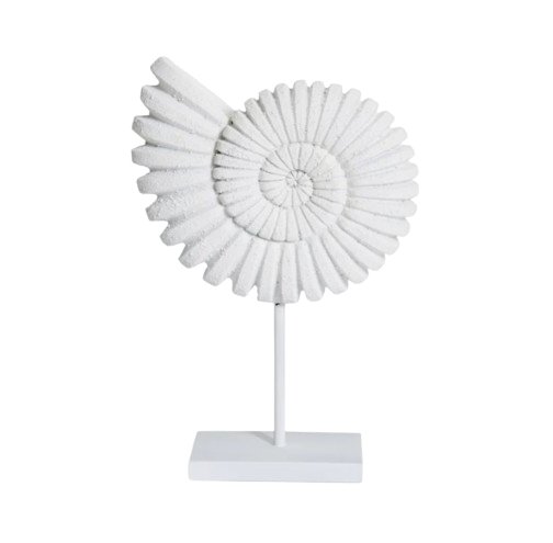 Sandy White Sea Shell Sculpture on Stand
