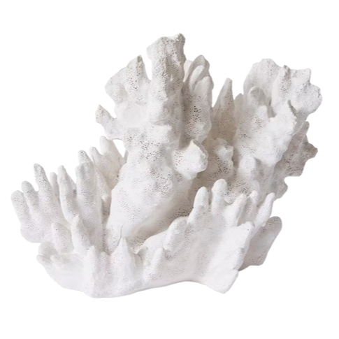 Wave Coral | White | Large