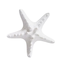 Thorny white star fish sculpture
