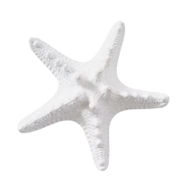 Thorny Star Fish | White